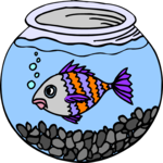 Fish in Bowl 5