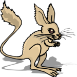 Kangaroo Rat 3