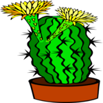 Cactus with Flower 5