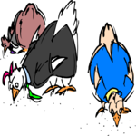 Business Chickens 2
