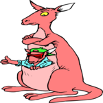 Kangaroo & Baby 1
