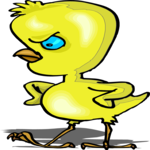 Chick - Angry 1