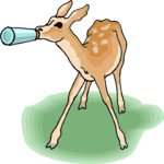 Deer - Calf 2