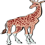 Giraffe 12
