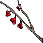 Branch - Cherry