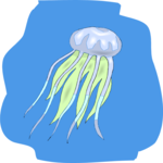 Jellyfish 10