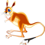 Jerboa 1