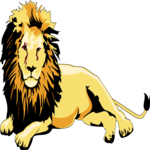 Lion 20