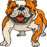 Bulldog 4