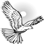 Dove Flying 5