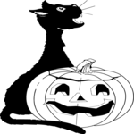 Cat with Pumpkin 2