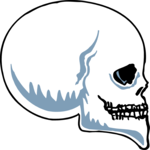 Skull 12