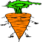 Carrot Guy