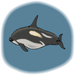 Porpoise 3