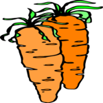 Carrots 08