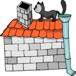 Cat on House