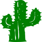 Cactus 66