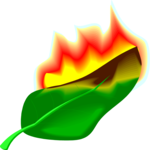 Leaf - Burning