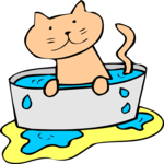 Cat in Water