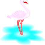 Flamingo 12