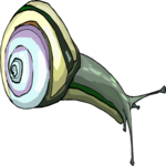 Snail 11