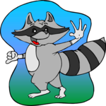 Raccoon 4