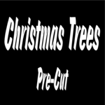 Trees - Pre-Cut