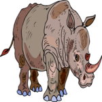 Rhino 14