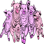 Pigs Smiling