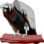 Vulture 6