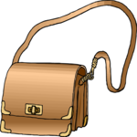 Purse 55