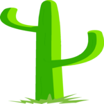 Cactus 35