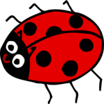 Ladybug 13