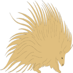 Porcupine 1