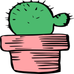 Cactus 49