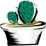Cactus 47