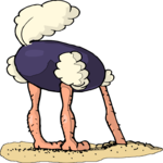 Ostrich - Head in Sand 5