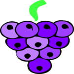 Grapes 33