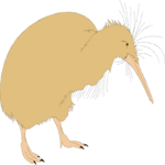 Kiwi Bird 2