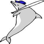 Baseball - Dolphin