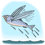 Flying Fish 2