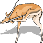 Gazelle 5
