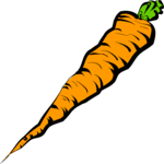 Carrot 04