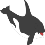 Whale - Killer 2