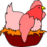 Chicken 25
