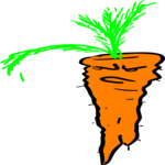 Carrot 06