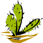 Cactus 45