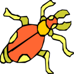 Bug 127