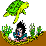 Scuba Diver & Turtle