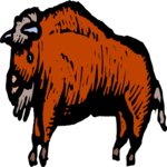 Bison 3